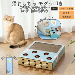 �y10�{�|�C���g�z������@�����L����炵�t���X�N���b�`���[ �L�������� �܂Ƃ� �_���{�[���L�܂Ƃ� ������@���V�� �˂��݂������� ��яo���l�Y�~ �������� �����L�^���s���E�X�g���X��