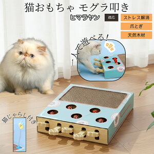 @L炵tXNb`[ L ܂Ƃ _{[L܂Ƃ @V ˂݂ яolY~  L^sEXgX q}L