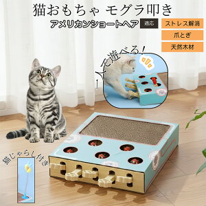 �y10�{�|�C���g�z�L�p�������� �܂Ƃ� �_���{�[�� �X�N���b�`���[ �L�X�N���b�`���[ ������@�� �L����炵 �˂��݂������� �����L �ЂƂ�V�� �������� �Ή� �A�����J���V���[�g�w�A�L �A