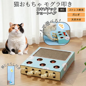 �y10�{�|�C���g�z�L�p�������� �܂Ƃ� �_���{�[�� �X�N���b�`���[ �L�X�N���b�`���[ ������@�� �L����炵 �˂��݂������� �����L �ЂƂ�V�� �������� �Ή� �G�L�]�`�b�N�V���[�g�w�A�L 