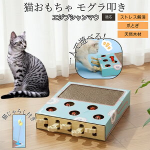 �y10�{�|�C���g�z�L�p�������� �܂Ƃ� �_���{�[�� �X�N���b�`���[ �L�X�N���b�`���[ ������@�� �L����炵 �˂��݂������� �����L �ЂƂ�V�� �������� �Ή� �G�W�v�V�����}�E�L �G�W�}�E