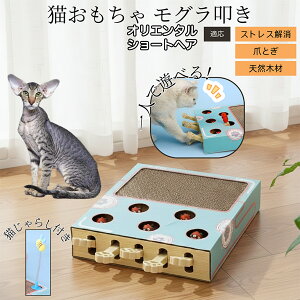 �y10�{�|�C���g�z�L�p�������� �܂Ƃ� �_���{�[�� �X�N���b�`���[ �L�X�N���b�`���[ ������@�� �L����炵 �˂��݂������� �����L �ЂƂ�V�� �������� �Ή� �I���G���^���V���[�g�w�A�L 