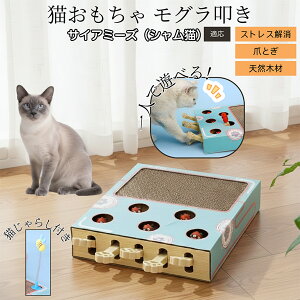 �y10�{�|�C���g�z�L�p�������� �܂Ƃ� �_���{�[�� �X�N���b�`���[ �L�X�N���b�`���[ ������@�� �L����炵 �˂��݂������� �����L �ЂƂ�V�� �������� �Ή� �T�C�A�~�[�Y�L�� �V����