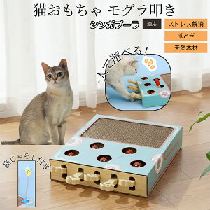 �y10�{�|�C���g�z�L�p�������� �܂Ƃ� �_���{�[�� �X�N���b�`���[ �L�X�N���b�`���[ ������@�� �L����炵 �˂��݂������� �����L �ЂƂ�V�� �������� �Ή� �V���K�v�[���L�� �V���K