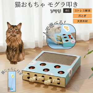 �y10�{�|�C���g�z�L�p�������� �܂Ƃ� �_���{�[�� �X�N���b�`���[ �L�X�N���b�`���[ ������@�� �L����炵 �˂��݂������� �����L �ЂƂ�V�� �������� �Ή� �\�}���L�� �\�}��