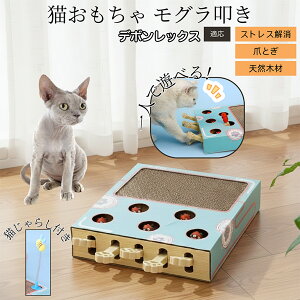 �y10�{�|�C���g�z������@�����L����炵�t���X�N���b�`���[ �L�������� �܂Ƃ� �_���{�[���L�܂Ƃ� ������@���V�� �˂��݂������� ��яo���l�Y�~ �������� �����L�^���s���E�X�g���X��