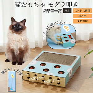 �y10�{�|�C���g�z������@�����L����炵�t���X�N���b�`���[ �L�������� �܂Ƃ� �_���{�[���L�܂Ƃ� ������@���V�� �˂��݂������� ��яo���l�Y�~ �������� �����L�^���s���E�X�g���X��