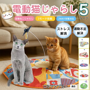 �y10�{�|�C���g�z�d���L����炵 �����L���b�g�g�C USB�[�d�� 3�i�K���[�h �H���t�� �L�p�m�炨������ �����p�ЂƂ�V�� �É� �����_����] �^�C�}�[�@�\ �������� ����ԃT�|�[�g �^���s��