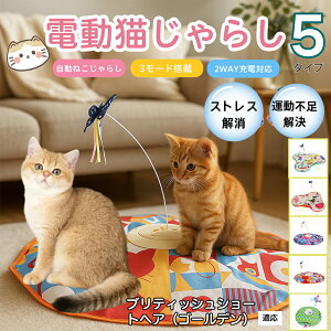 �y10�{�|�C���g�z�d���L����炵 �����L���b�g�g�C USB�[�d�� 3�i�K���[�h �H���t�� �L�p�m�炨������ �����p�ЂƂ�V�� �É� �����_����] �^�C�}�[�@�\ �������� ����ԃT�|�[�g �^���s��