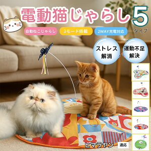 �y10�{�|�C���g�z�d���L����炵 �����L���b�g�g�C USB�[�d�� 3�i�K���[�h �H���t�� �L�p�m�炨������ �����p�ЂƂ�V�� �É� �����_����] �^�C�}�[�@�\ �������� ����ԃT�|�[�g �^���s��