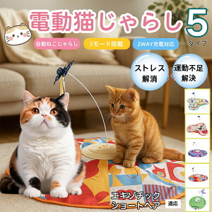 �y10�{�|�C���g�z�d���L����炵 �����L���b�g�g�C USB�[�d�� 3�i�K���[�h �H���t�� �L�p�m�炨������ �����p�ЂƂ�V�� �É� �����_����] �^�C�}�[�@�\ �������� ����ԃT�|�[�g �^���s��