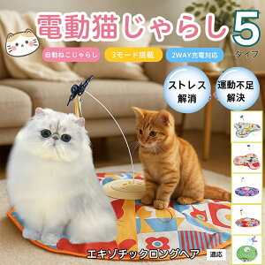 �y10�{�|�C���g�z�d���L����炵 �����L���b�g�g�C USB�[�d�� 3�i�K���[�h �H���t�� �L�p�m�炨������ �����p�ЂƂ�V�� �É� �����_����] �^�C�}�[�@�\ �������� ����ԃT�|�[�g �^���s��