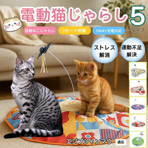 �d���L����炵 �����L���b�g�g�C USB�[�d�� 3�i�K���[�h �H���t�� �L�p�m�炨������ �����p�ЂƂ�V�� �É� �����_����] �^�C�}�[�@�\ �������� ����ԃT�|�[�g �^���s���P�A �X�g���X��