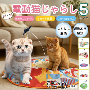 �y10�{�|�C���g�z�d���L����炵 �����L���b�g�g�C USB�[�d�� 3�i�K���[�h �H���t�� �L�p�m�炨������ �����p�ЂƂ�V�� �É� �����_����] �^�C�}�[�@�\ �������� ����ԃT�|�[�g �^���s��