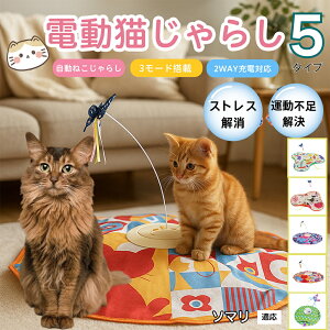 �y10�{�|�C���g�z�d���L����炵 �����L���b�g�g�C USB�[�d�� 3�i�K���[�h �H���t�� �L�p�m�炨������ �����p�ЂƂ�V�� �É� �����_����] �^�C�}�[�@�\ �������� ����ԃT�|�[�g �^���s��