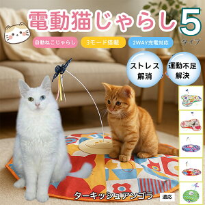 �y10�{�|�C���g�z�d���L����炵 �����L���b�g�g�C USB�[�d�� 3�i�K���[�h �H���t�� �L�p�m�炨������ �����p�ЂƂ�V�� �É� �����_����] �^�C�}�[�@�\ �������� ����ԃT�|�[�g �^���s��