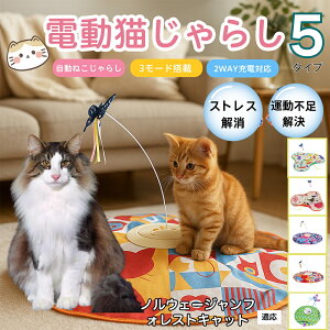 �y10�{�|�C���g�z�d���L����炵 �����L���b�g�g�C USB�[�d�� 3�i�K���[�h �H���t�� �L�p�m�炨������ �����p�ЂƂ�V�� �É� �����_����] �^�C�}�[�@�\ �������� ����ԃT�|�[�g �^���s��