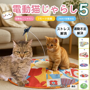 �y10�{�|�C���g�z�d���L����炵 �����L���b�g�g�C USB�[�d�� 3�i�K���[�h �H���t�� �L�p�m�炨������ �����p�ЂƂ�V�� �É� �����_����] �^�C�}�[�@�\ �������� ����ԃT�|�[�g �^���s��