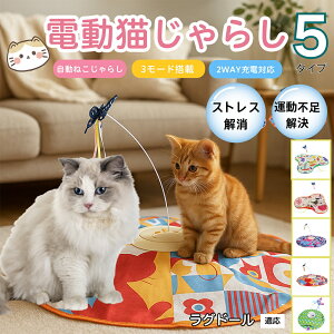 �y10�{�|�C���g�z�d���L����炵 �����L���b�g�g�C USB�[�d�� 3�i�K���[�h �H���t�� �L�p�m�炨������ �����p�ЂƂ�V�� �É� �����_����] �^�C�}�[�@�\ �������� ����ԃT�|�[�g �^���s��