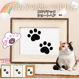 【最大40%OFFクーポン配布中】 ペット用足あとスタンプ 作成キット 汚れない足形 肉球スタンプ 手形 足形 型取り 簡単 安心 足跡パッド 犬 猫 記念 メモリアル 転写プリント オリジナル保存用 足形作成キット エキゾチックショートヘア猫 エキゾ