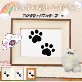 【最大40%OFFクーポン配布中】 ペット用足あとスタンプ 作成キット 汚れない足形 肉球スタンプ 手形 足形 型取り 簡単 安心 足跡パッド 犬 猫 記念 メモリアル 転写プリント オリジナル保存用 足形作成キット エキゾチックロングヘア猫 エキゾロン