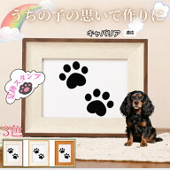 【最大40%OFFクーポン配布中】 ペット用足あとスタンプ 作成キット 汚れない足形 肉球スタンプ 手形 足形…