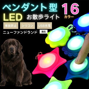 LED���U�����C�g �y�b�g�p ��֗p�`���[�� USB�[�d�� �h�H �ϏՌ� ���郊�[�h�A�N�Z�T���[ ��Ԉ��S �� �L ���^�� ���^�� ��^���Ή� ���t���ȒP ���q�h�~���C�g �j���[�t�@���h�����h�� �j