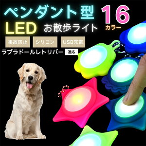 LED���U�����C�g �y�b�g�p ��֗p�`���[�� USB�[�d�� �h�H �ϏՌ� ���郊�[�h�A�N�Z�T���[ ��Ԉ��S �� �L ���^�� ���^�� ��^���Ή� ���t���ȒP ���q�h�~���C�g ���u���h�[�����g���o�[�� 