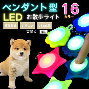 LED���U�����C�g �y�b�g�p ��֗p�`���[�� USB�[�d�� �h�H �ϏՌ� ���郊�[�h�A�N�Z�T���[ ��Ԉ��S �� �L ���^�� ���^�� ��^���Ή� ���t���ȒP ���q�h�~���C�g ���Č��� ����