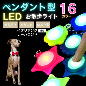 LED���U�����C�g �y�b�g�p ��֗p�`���[�� USB�[�d�� �h�H �ϏՌ� ���郊�[�h�A�N�Z�T���[ ��Ԉ��S �� �L ���^�� ���^�� ��^���Ή� ���t���ȒP ���q�h�~���C�g �C�^���A���O���[�n�E���h