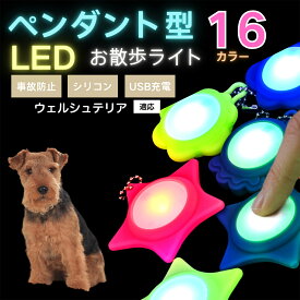 【最大40%OFFクーポン配布中】 LEDお散歩ライト ペット用 首輪用チャーム USB充電式 防滴 耐衝撃 光るリードアクセサリー 夜間安全 犬 猫 小型犬 中型犬 大型犬対応 取り付け簡単 迷子防止ライト ウェルシュテリア犬 ウェルシュ