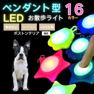 �y10�{�|�C���g�zLED���U�����C�g �y�b�g�p ��֗p�`���[�� USB�[�d�� �h�H �ϏՌ� ���郊�[�h�A�N�Z�T���[ ��Ԉ��S �� �L ���^�� ���^�� ��^���Ή� ���t���ȒP ���q�h�~���C�g �{�X�g��