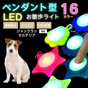 LED���U�����C�g �y�b�g�p ��֗p�`���[�� USB�[�d�� �h�H �ϏՌ� ���郊�[�h�A�N�Z�T���[ ��Ԉ��S �� �L ���^�� ���^�� ��^���Ή� ���t���ȒP ���q�h�~���C�g �W���b�N���b�Z���e���A�� 