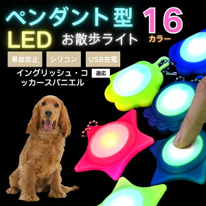 LED���U�����C�g �y�b�g�p ��֗p�`���[�� USB�[�d�� �h�H �ϏՌ� ���郊�[�h�A�N�Z�T���[ ��Ԉ��S �� �L ���^�� ���^�� ��^���Ή� ���t���ȒP ���q�h�~���C�g �C���O���b�V���R�b�J�[�X