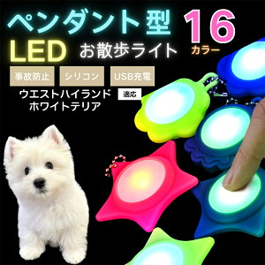 LED���U�����C�g �y�b�g�p ��֗p�`���[�� USB�[�d�� �h�H �ϏՌ� ���郊�[�h�A�N�Z�T���[ ��Ԉ��S �� �L ���^�� ���^�� ��^���Ή� ���t���ȒP ���q�h�~���C�g �E�G�X�g�n�C�����h�z���C