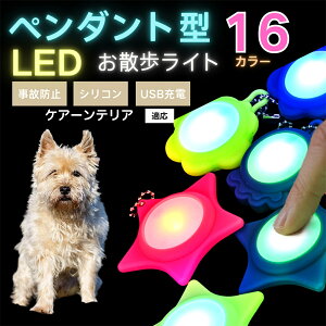 �y10�{�|�C���g�zLED���U�����C�g �y�b�g�p ��֗p�`���[�� USB�[�d�� �h�H �ϏՌ� ���郊�[�h�A�N�Z�T���[ ��Ԉ��S �� �L ���^�� ���^�� ��^���Ή� ���t���ȒP ���q�h�~���C�g �P�A�[��