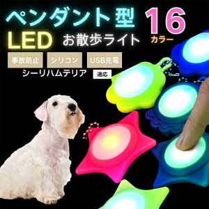 LED���U�����C�g �y�b�g�p ��֗p�`���[�� USB�[�d�� �h�H �ϏՌ� ���郊�[�h�A�N�Z�T���[ ��Ԉ��S �� �L ���^�� ���^�� ��^���Ή� ���t���ȒP ���q�h�~���C�g �V�[���n���e���A�� �V�[��