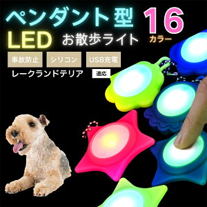 �y10�{�|�C���g�zLED���U�����C�g �y�b�g�p ��֗p�`���[�� USB�[�d�� �h�H �ϏՌ� ���郊�[�h�A�N�Z�T���[ ��Ԉ��S �� �L ���^�� ���^�� ��^���Ή� ���t���ȒP ���q�h�~���C�g ���[�N��