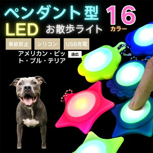 �y10�{�|�C���g�zLED���U�����C�g �y�b�g�p ��֗p�`���[�� USB�[�d�� �h�H �ϏՌ� ���郊�[�h�A�N�Z�T���[ ��Ԉ��S �� �L ���^�� ���^�� ��^���Ή� ���t���ȒP ���q�h�~���C�g �A�����J