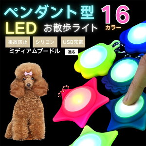 �y10�{�|�C���g�zLED���U�����C�g �y�b�g�p ��֗p�`���[�� USB�[�d�� �h�H �ϏՌ� ���郊�[�h�A�N�Z�T���[ ��Ԉ��S �� �L ���^�� ���^�� ��^���Ή� ���t���ȒP ���q�h�~���C�g �~�f�B�A