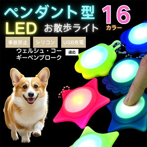 �y10�{�|�C���g�zLED���U�����C�g �y�b�g�p ��֗p�`���[�� USB�[�d�� �h�H �ϏՌ� ���郊�[�h�A�N�Z�T���[ ��Ԉ��S �� �L ���^�� ���^�� ��^���Ή� ���t���ȒP ���q�h�~���C�g �E�F���V