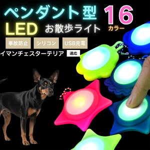 LED���U�����C�g �y�b�g�p ��֗p�`���[�� USB�[�d�� �h�H �ϏՌ� ���郊�[�h�A�N�Z�T���[ ��Ԉ��S �� �L ���^�� ���^�� ��^���Ή� ���t���ȒP ���q�h�~���C�g �g�C�}���`�F�X�^�[�e���A