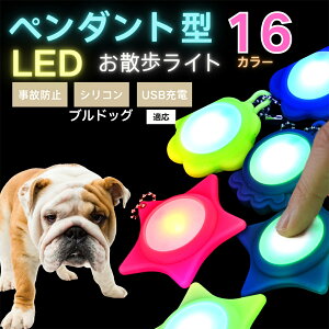 LED���U�����C�g �y�b�g�p ��֗p�`���[�� USB�[�d�� �h�H �ϏՌ� ���郊�[�h�A�N�Z�T���[ ��Ԉ��S �� �L ���^�� ���^�� ��^���Ή� ���t���ȒP ���q�h�~���C�g �u���h�b�O���� �u��