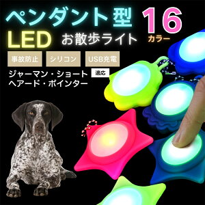 �y10�{�|�C���g�zLED���U�����C�g �y�b�g�p ��֗p�`���[�� USB�[�d�� �h�H �ϏՌ� ���郊�[�h�A�N�Z�T���[ ��Ԉ��S �� �L ���^�� ���^�� ��^���Ή� ���t���ȒP ���q�h�~���C�g �W���[�}