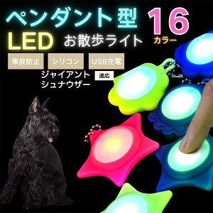 LED���U�����C�g �y�b�g�p ��֗p�`���[�� USB�[�d�� �h�H �ϏՌ� ���郊�[�h�A�N�Z�T���[ ��Ԉ��S �� �L ���^�� ���^�� ��^���Ή� ���t���ȒP ���q�h�~���C�g �W���C�A���g�V���i�E�U�[