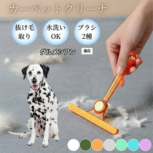 �y10�{�|�C���g�z�ߗޗp�ю��u���V ���ʃN���[�i�[ �y�b�g�����уN���[�i�[ �ыʎ��� �\�t�@ �J�[�y�b�g�p �ѕz�Ή� �Ód�C�h�~ �ю��p�i ���p�u���V �������O�b�Y �_�����V�A����