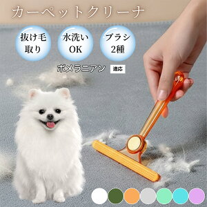 �y10�{�|�C���g�z�ߗޗp�ю��u���V ���ʃN���[�i�[ �y�b�g�����уN���[�i�[ �ыʎ��� �\�t�@ �J�[�y�b�g�p �ѕz�Ή� �Ód�C�h�~ �ю��p�i ���p�u���V �������O�b�Y �|�����j�A����