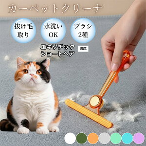 �y10�{�|�C���g�z�ߗޗp�ю��u���V ���ʃN���[�i�[ �y�b�g�����уN���[�i�[ �ыʎ��� �\�t�@ �J�[�y�b�g�p �ѕz�Ή� �Ód�C�h�~ �ю��p�i ���p�u���V �������O�b�Y �G�L�]�`�b�N�V