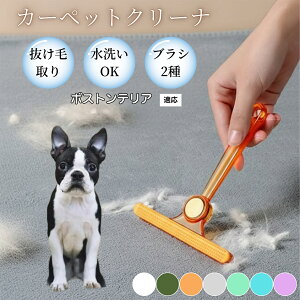 �y10�{�|�C���g�z�ߗޗp�ю��u���V ���ʃN���[�i�[ �y�b�g�����уN���[�i�[ �ыʎ��� �\�t�@ �J�[�y�b�g�p �ѕz�Ή� �Ód�C�h�~ �ю��p�i ���p�u���V �������O�b�Y �{�X�g���e���A