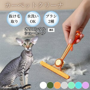 �ߗޗp�ю��u���V ���ʃN���[�i�[ �y�b�g�����уN���[�i�[ �ыʎ��� �\�t�@ �J�[�y�b�g�p �ѕz�Ή� �Ód�C�h�~ �ю��p�i ���p�u���V �������O�b�Y �I���G���^���V���[�g�w�A�L �I